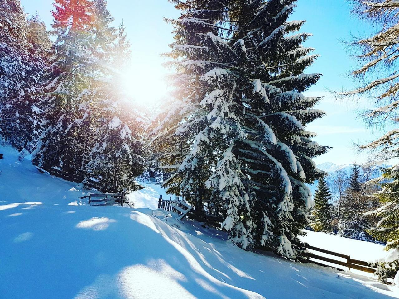 My Apartment Krinzwald Seefeld in Tirol Dış mekan fotoğraf